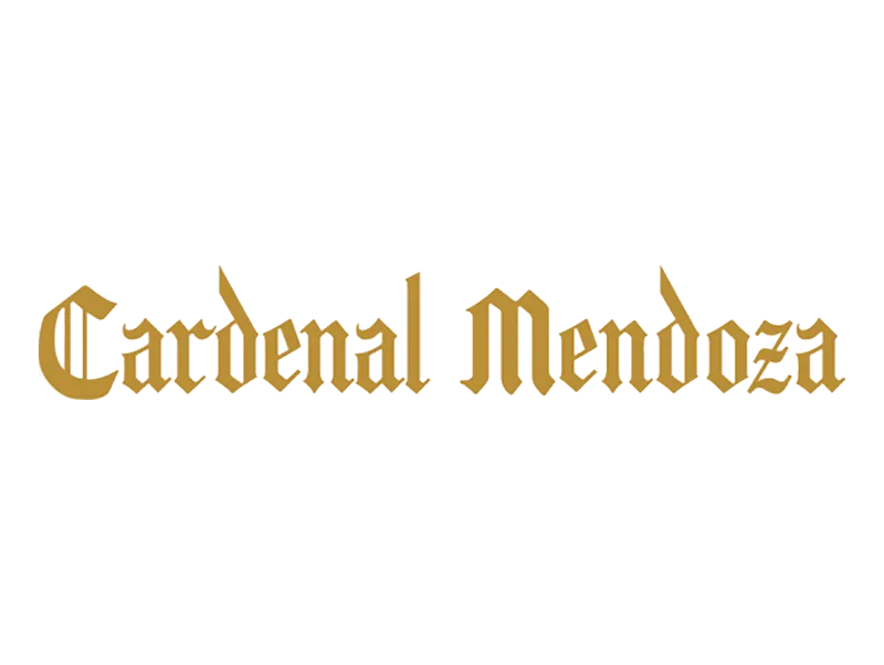 Cardenal Mendoza
